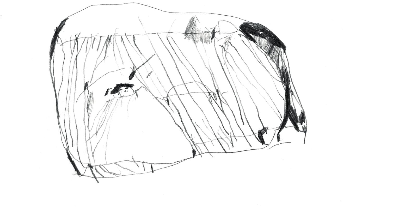 Diary comics, image 1