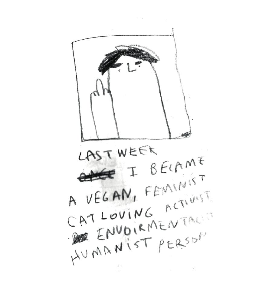Diary comics, image 2
